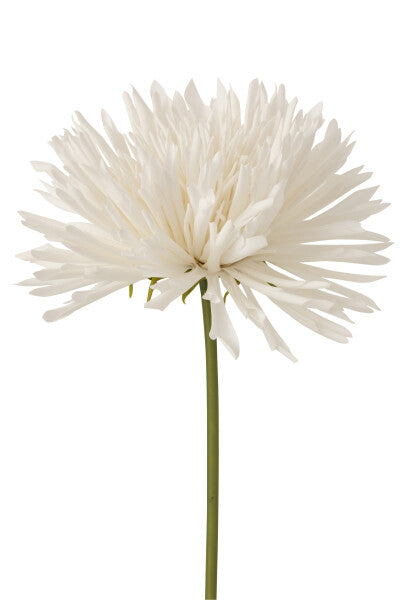 Chrysant Plastic White Large