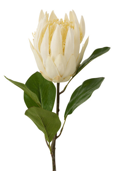 Protea Branch Plastic Ecru