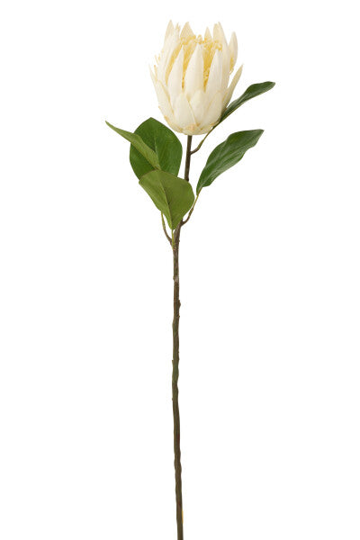 Protea Branch Plastic Ecru