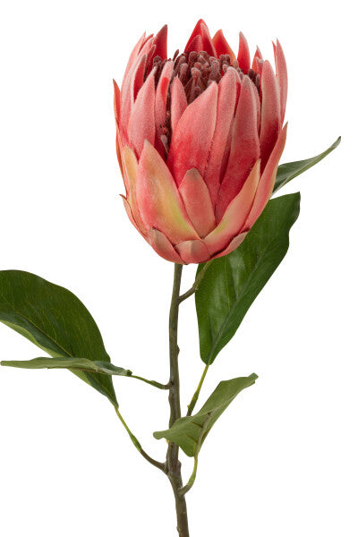 Protea Branch Plastic Red