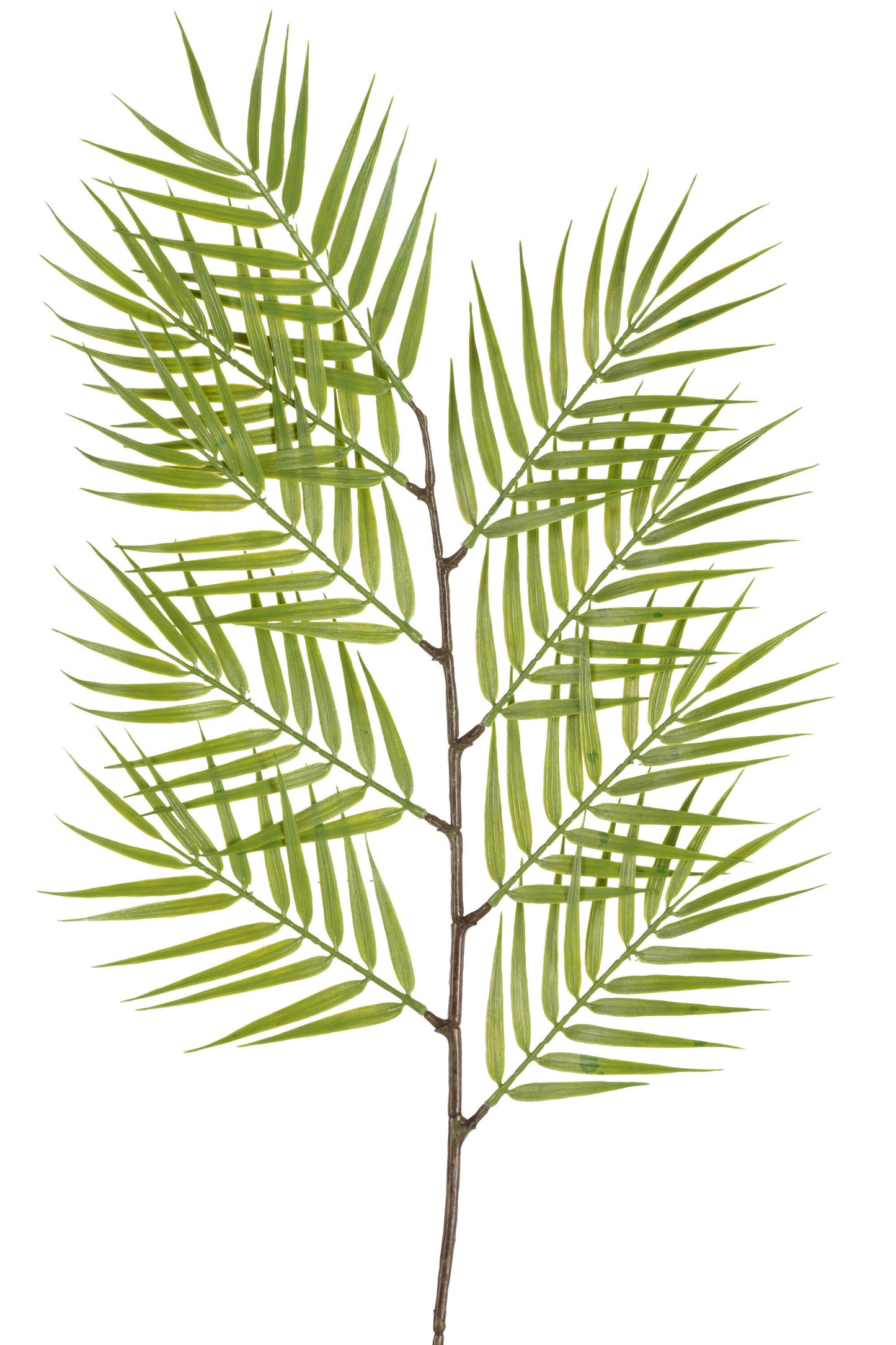 Branch Bamboo Plastic Green Small