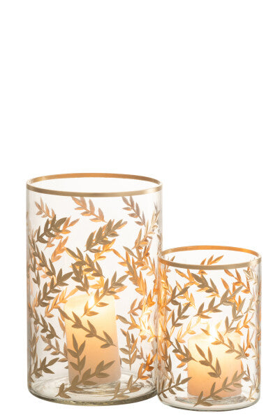 Hurricane Wheat Glass Gold/Transparent Medium