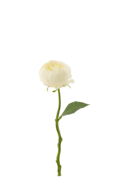 Peony Artificial White
