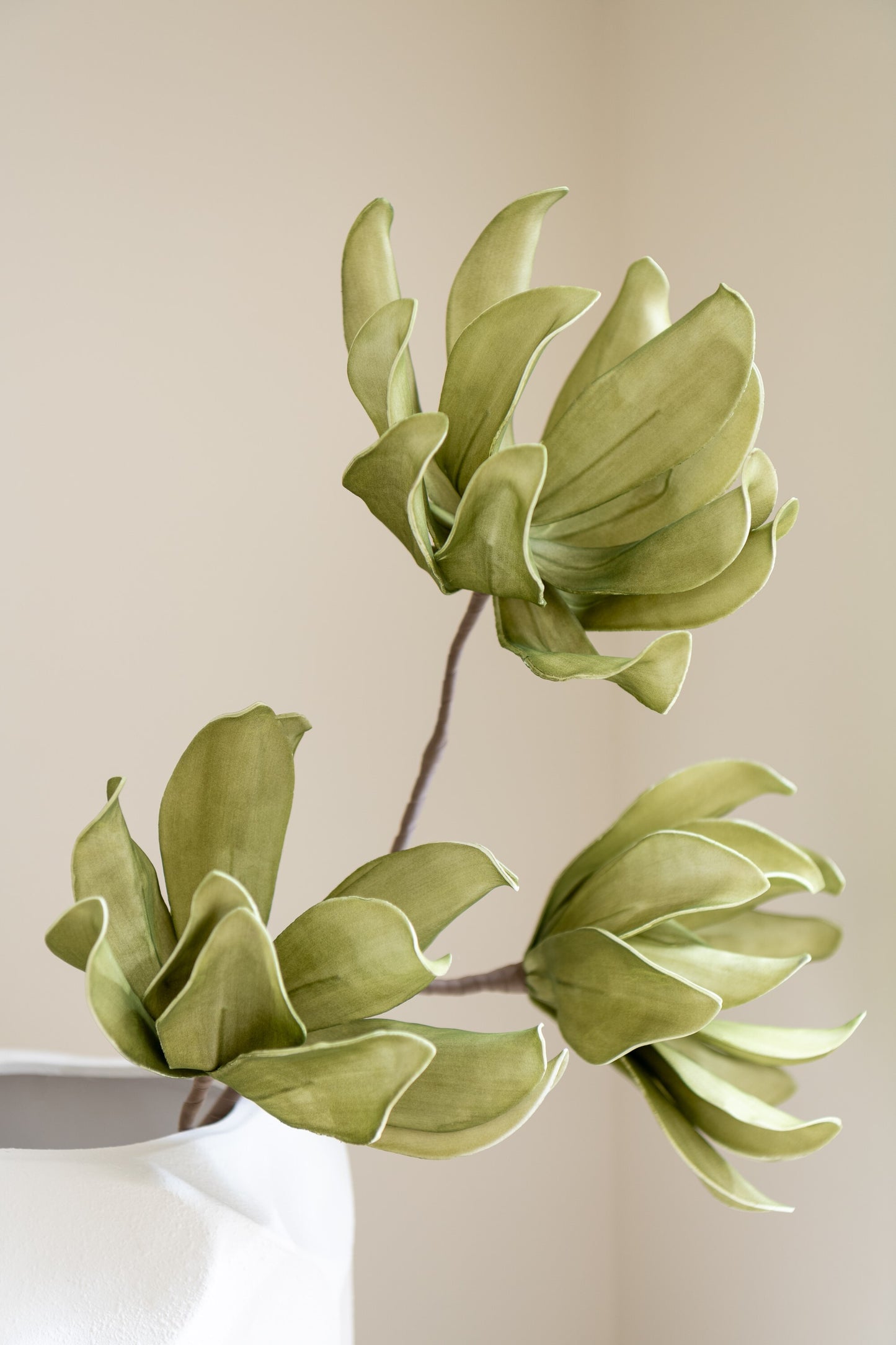 Flower Branch 3 Heads Eva Green