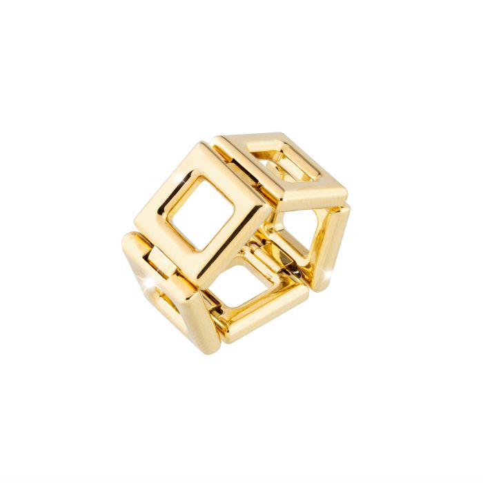 Ludi ring