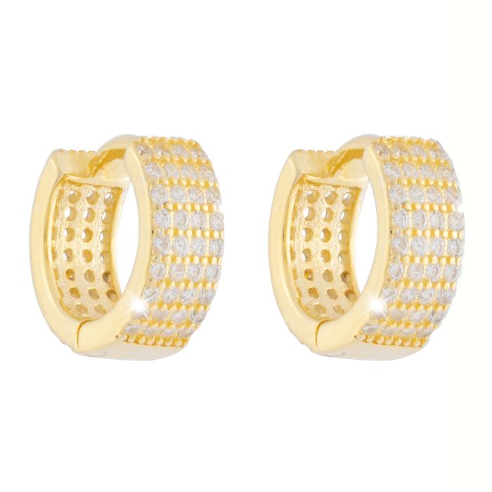 Golden Ear Earrings