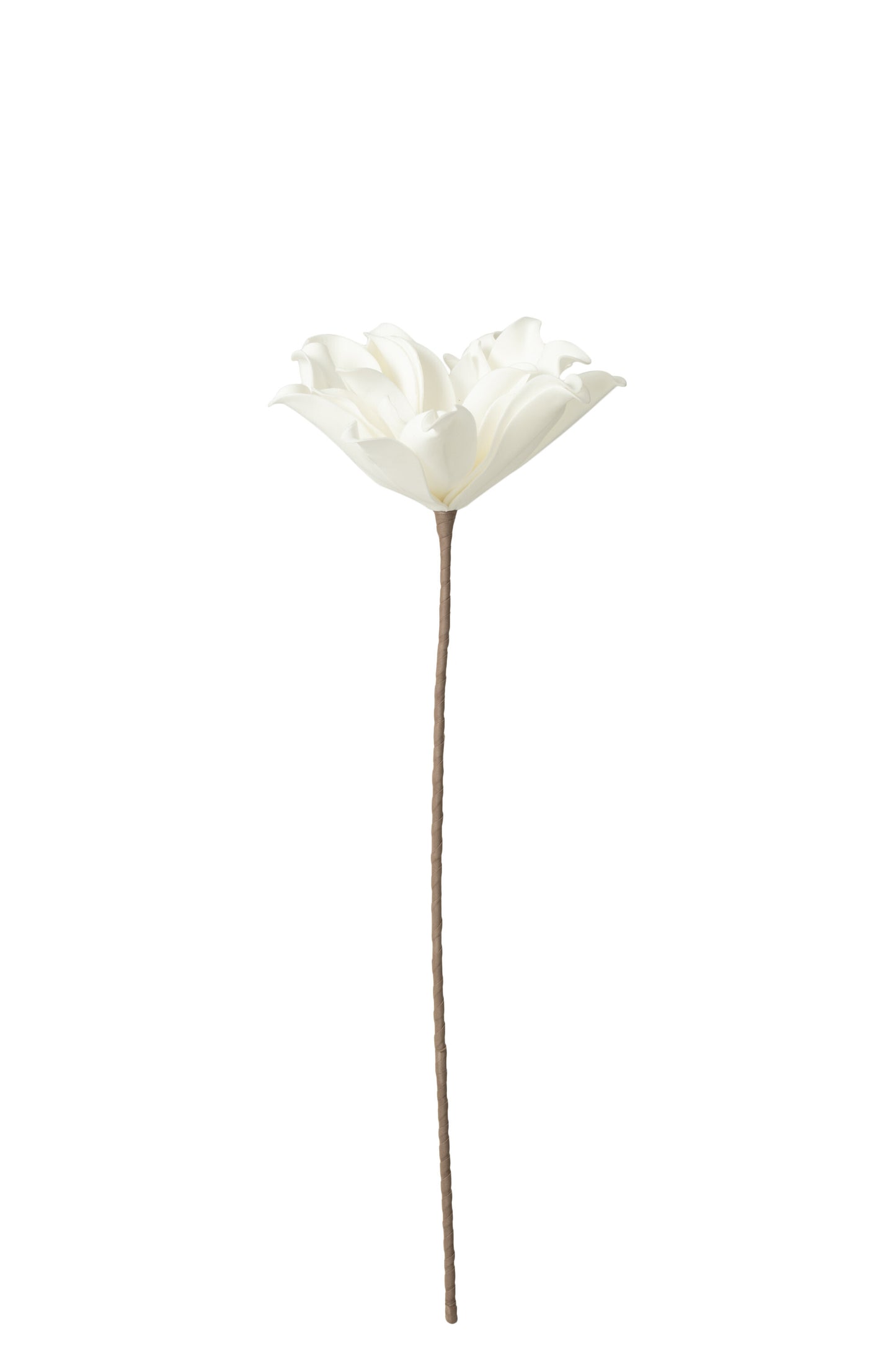 Flower Branch Short Leaves 1 Head Eva White