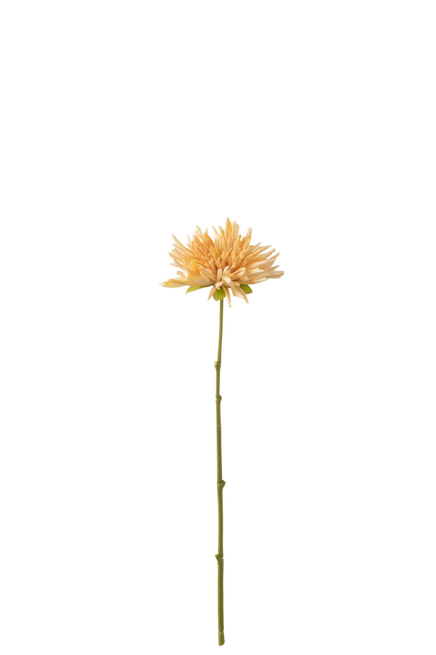 Chrysanth Mini Plastic Light Orange