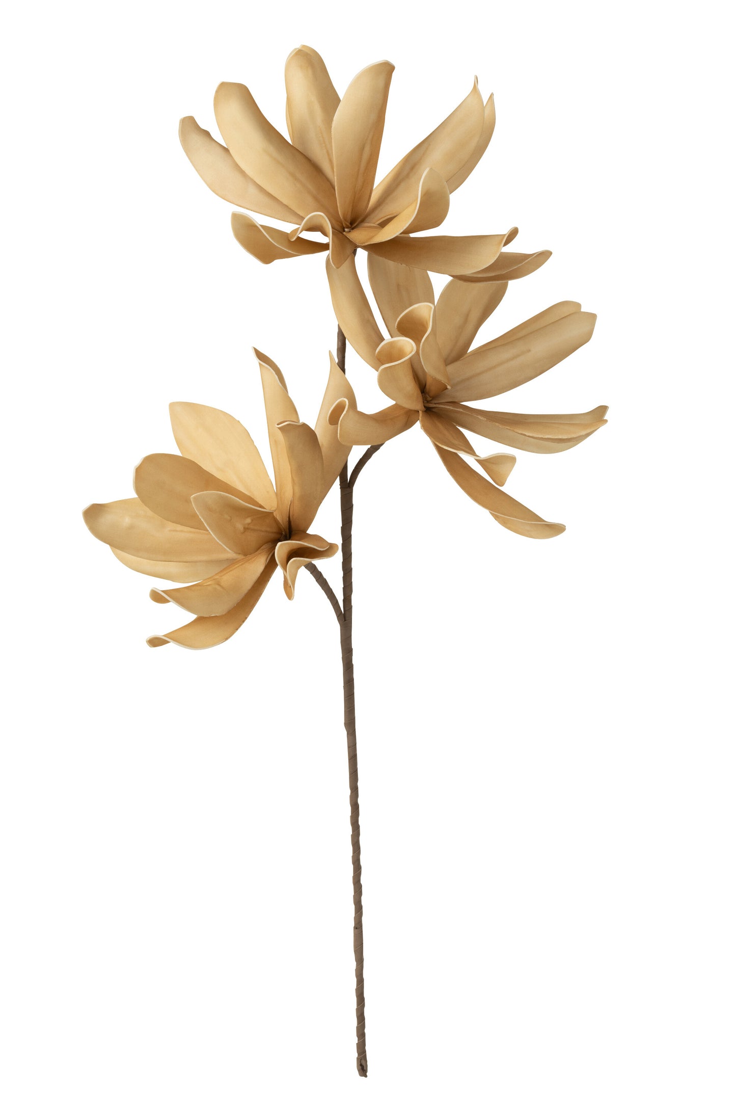 Flower Branch 3 Heads Eva Corn