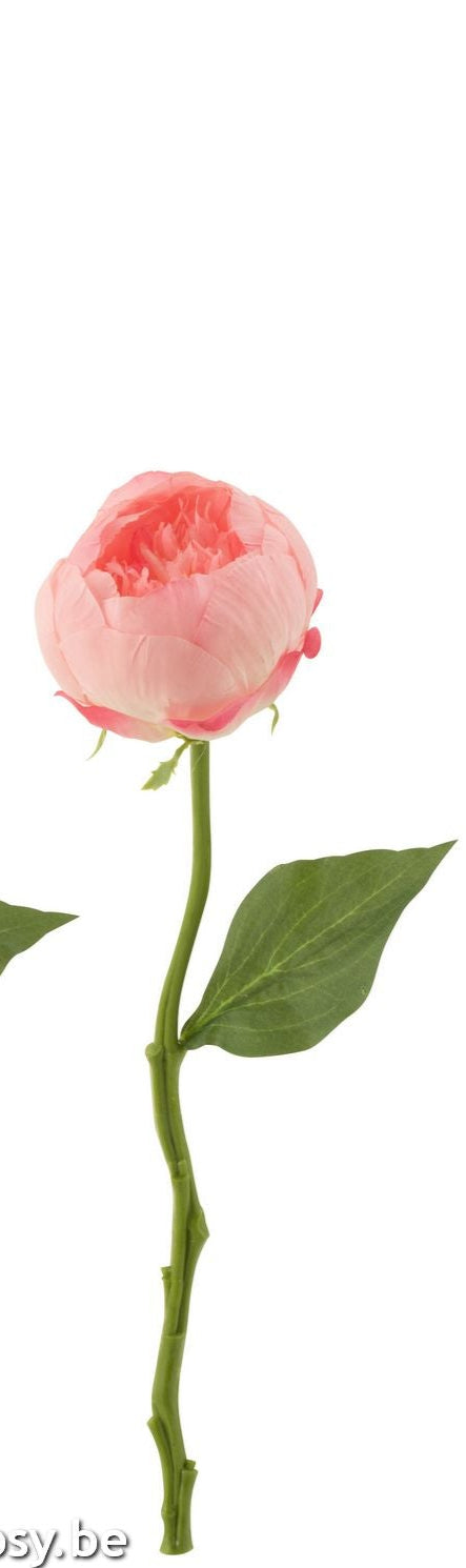 Peony Artificial Pink