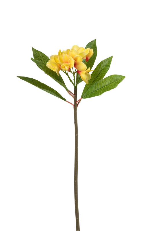 Frangipani Flower Plastic Yellow