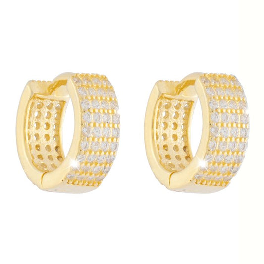 Golden Ear Earrings